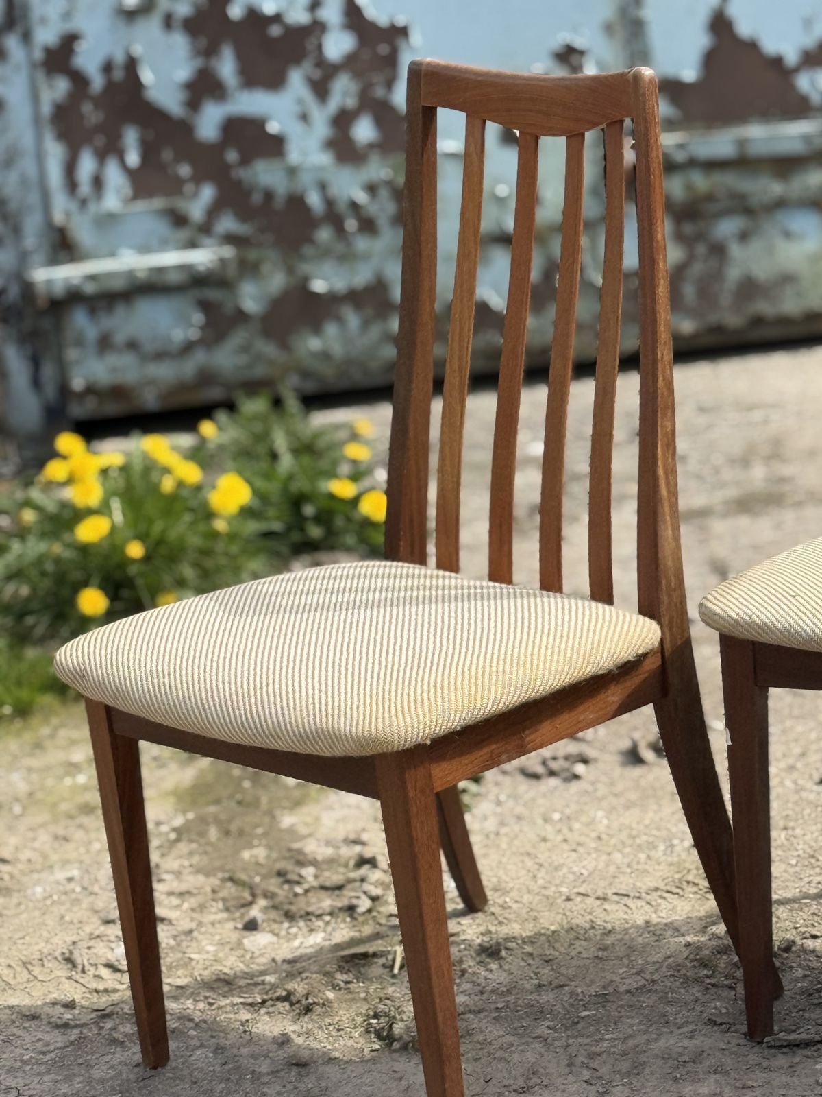 Furniture Ten Gplan Fresco Dining Chairs By Victor Wilkins, 1960s (Project Of Restoration) photo