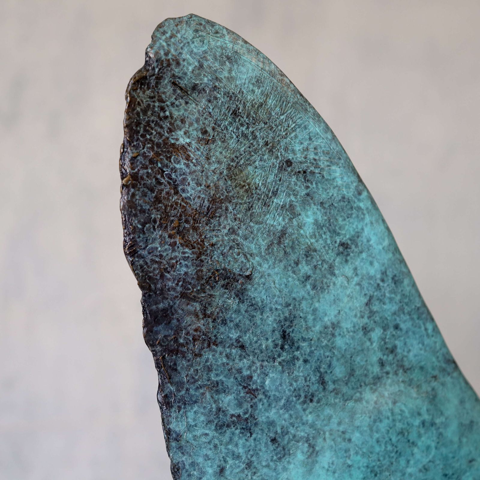 Young Longfin Batfish   Fine Art Bronze By Andrzej Szymczyk, Limited Edition 2/12 photo 9250.0