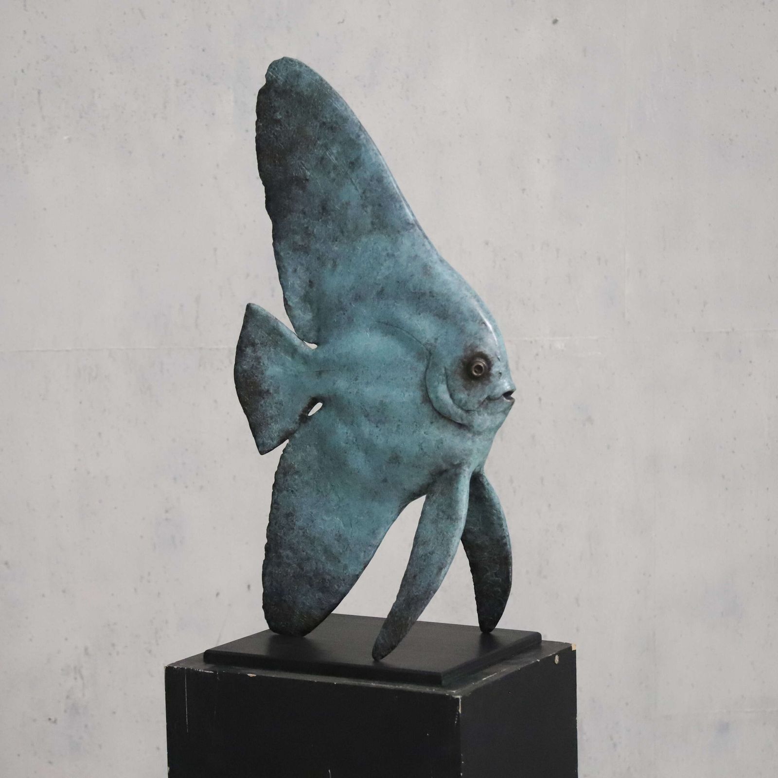 Young Longfin Batfish   Fine Art Bronze By Andrzej Szymczyk, Limited Edition 2/12 photo vintage