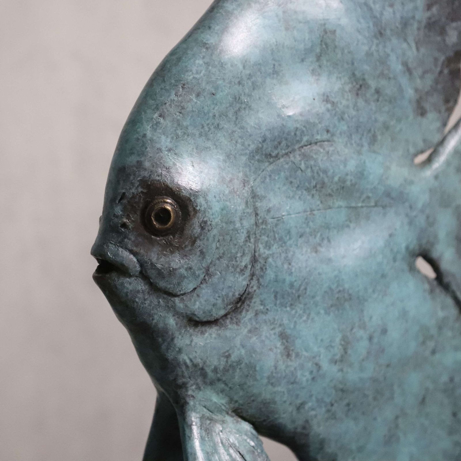 photo vintage Young Longfin Batfish   Fine Art Bronze By Andrzej Szymczyk, Limited Edition 2/12