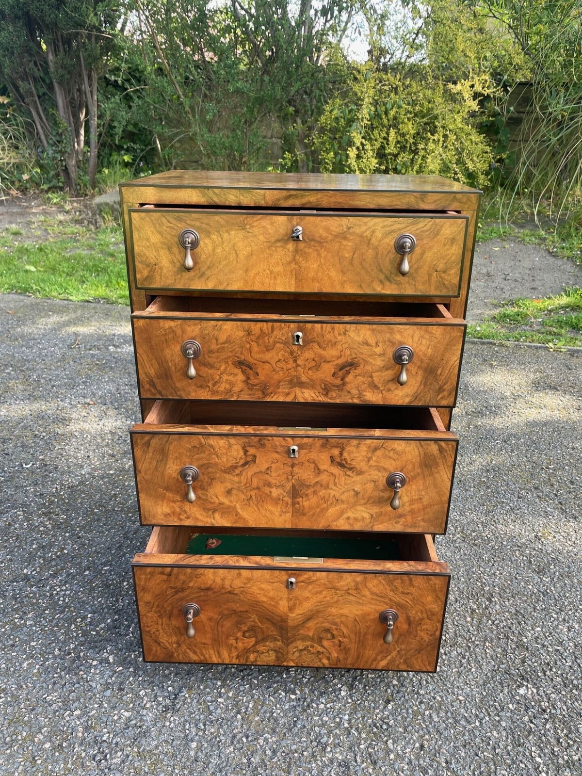 Fine Quality Small Burr Walnut Chest Draws photo for sale