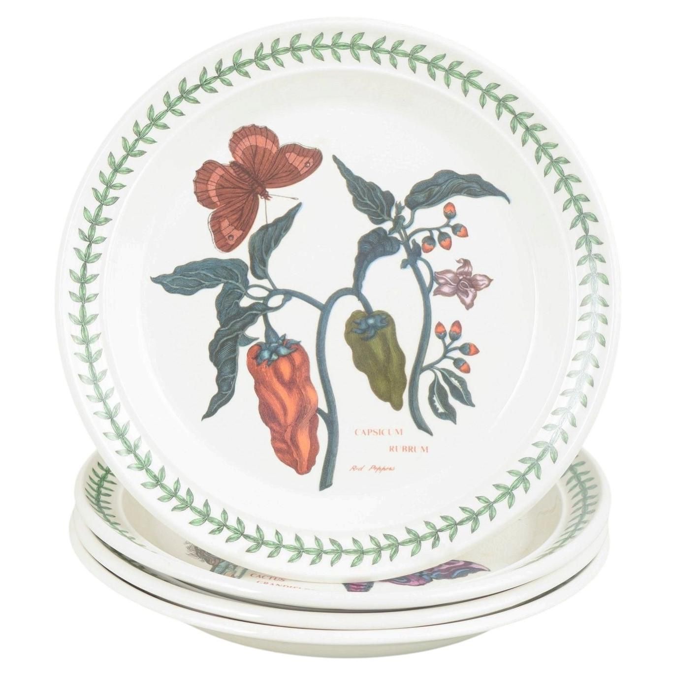 Portmeirion England. Set Of 4 Faience Lunch Plates. "The Botanic Garden" Series