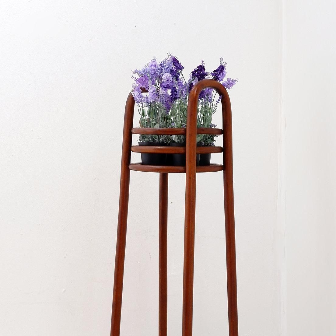 photo furniture Bentwood Pedestal   Flower Stand Attributed To Jacob & Josef Kohn, 1890s