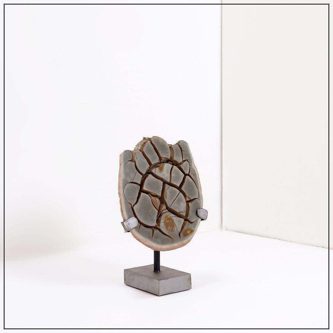 photo furniture Septarian Nodule Sculpture On Metal Stand, Belgium, 20th Century