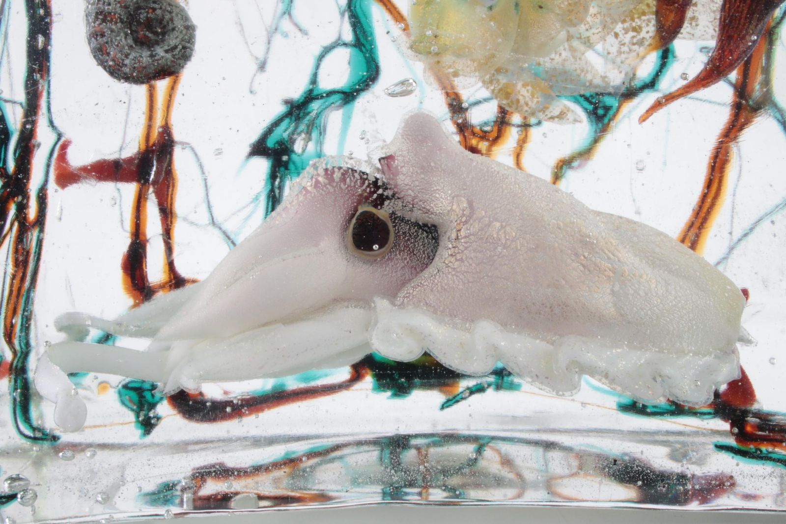 Murano Glass Aquarium Sculpture By Alfredo Barbini, Italy, 1960s photo buy