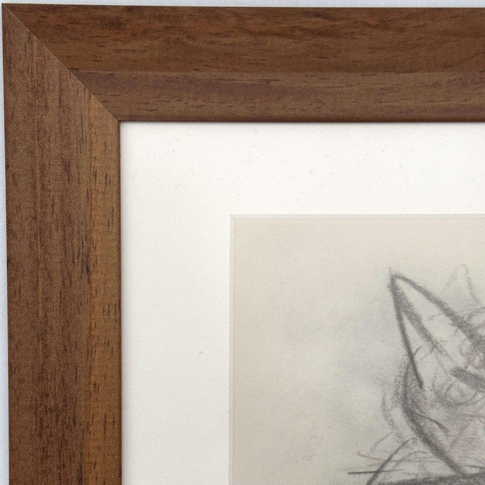 Expressive Cat Drawing Framed, Netherlands 1966 photo Art