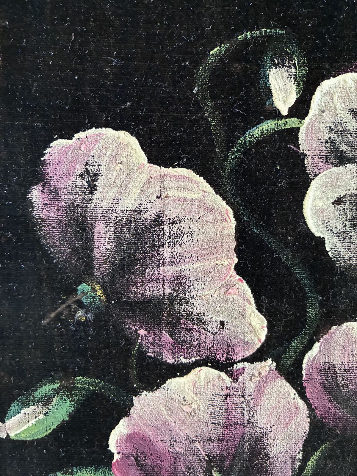 photo for sale Ensemble vintage de peintures à l'huile sur velours représentant des fleurs, paire de natures mortes florales