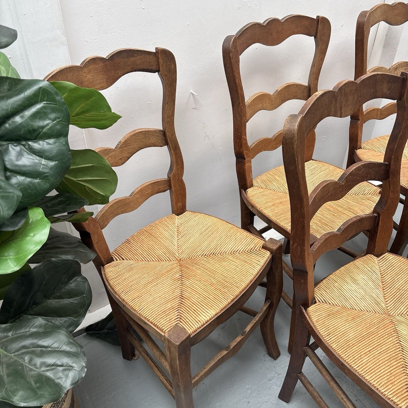 5 Vintage French Farmhouse Country ´Van Gogh’ Ladderback Rush Seat Dining Chairs photo for sale