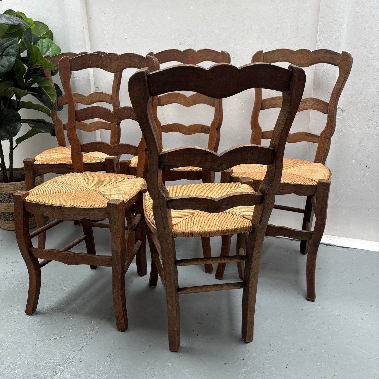 photo vinterior 5 Vintage French Farmhouse Country ´Van Gogh’ Ladderback Rush Seat Dining Chairs