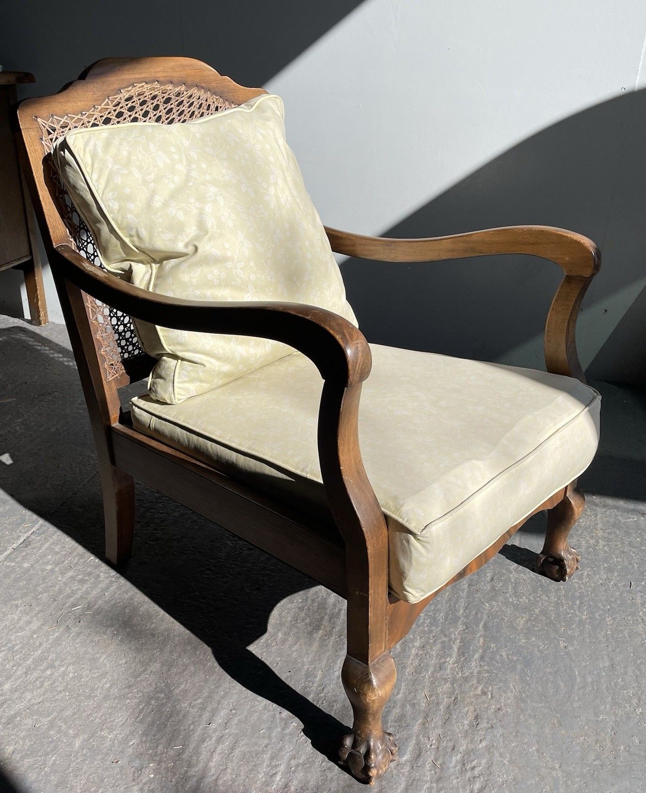 Early 20th Century Walnut Cane Back Bergere Armchair Ball & Claw Feet photo furniture