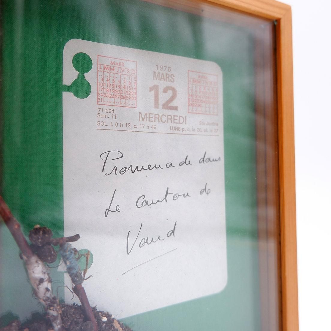 photo furniture Installation "Promenade Dans Le Canton De Vaud" By François Bouillon No 12/35