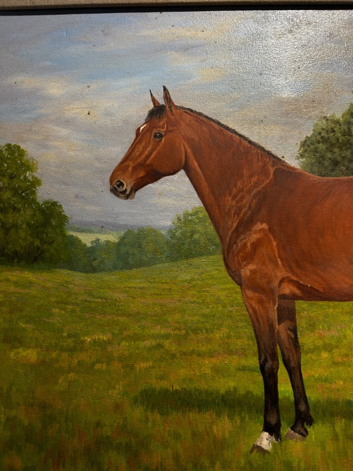 Oil On Canvas  Horse  Mid Century Signed Framed 1960/70's Portrait Landscape photo furniture