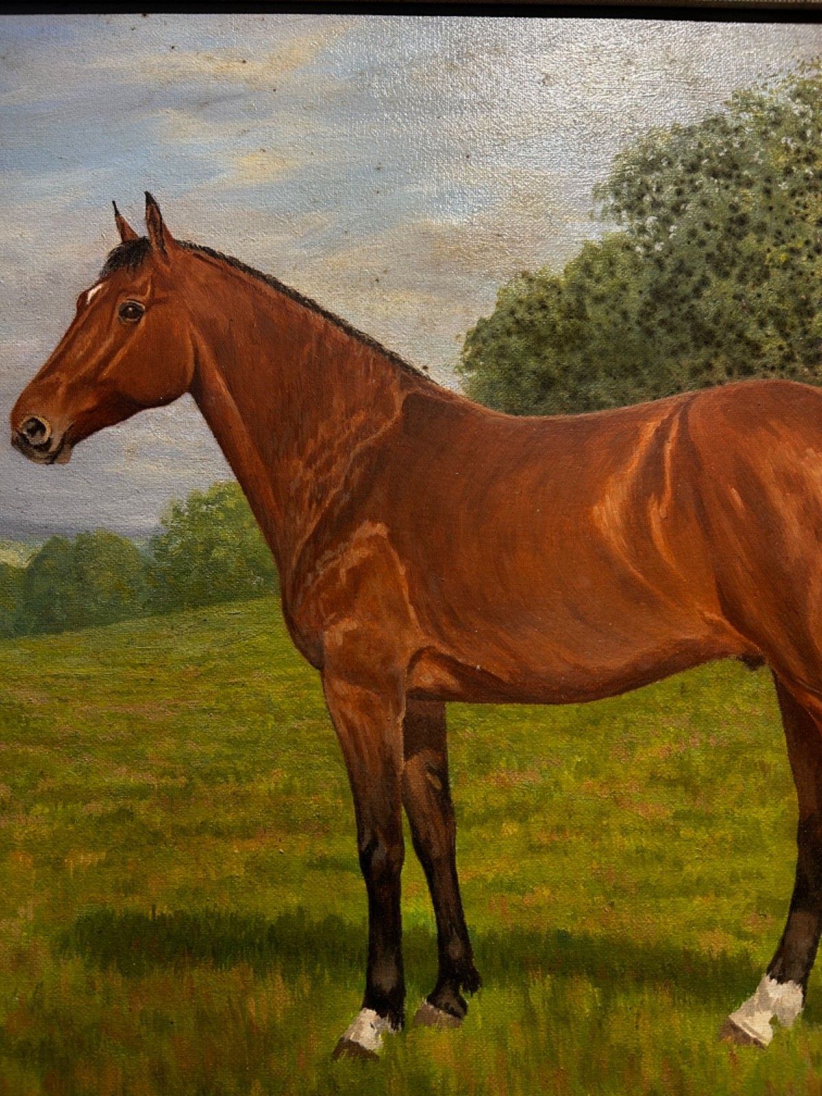 Oil On Canvas  Horse  Mid Century Signed Framed 1960/70's Portrait Landscape photo for sale