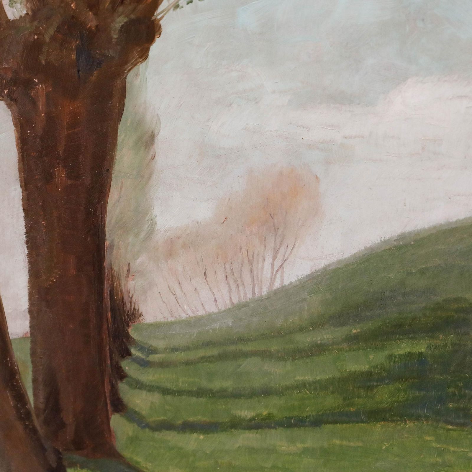 Willi Herrmann (1865 1963) Mid 20th Century Oil, Trees In The Rolling Hills photo 395.0