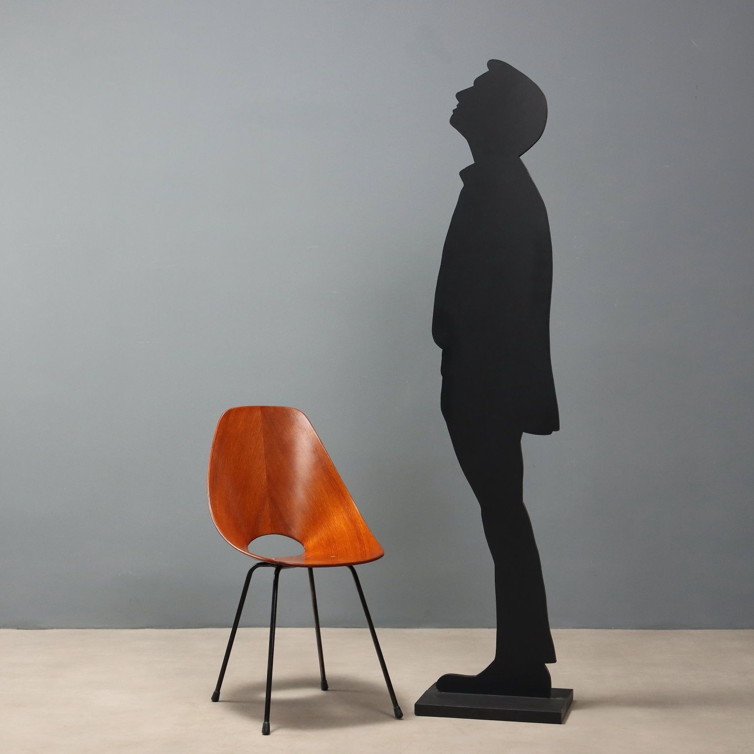 Vintage Medea Chair F.Lli Tagliabue Design Vittorio Nobili Italy 1960s photo for sale