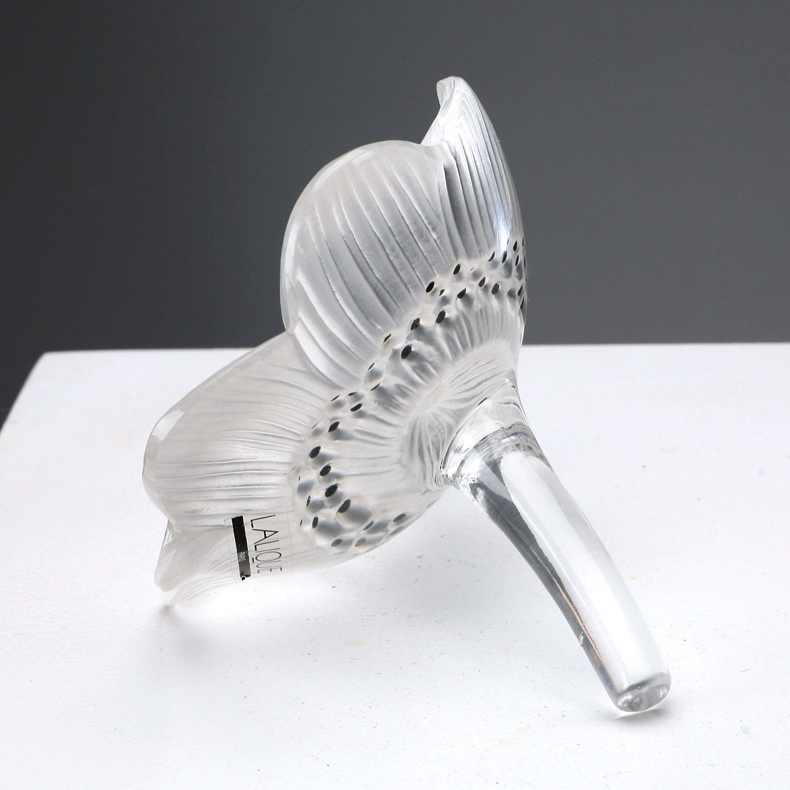 Lalique Glass Anemone Antique France XX Century photo Home Decor