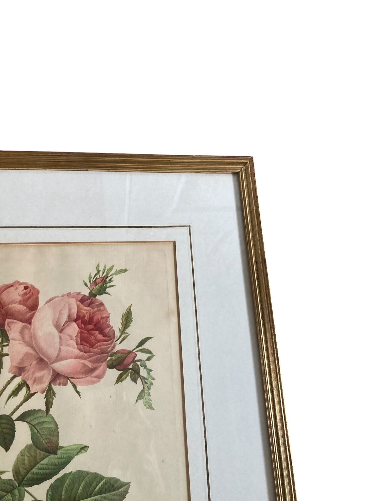 Pair Of Framed Botanical Prints Features The Work Of The Renowned French Floral Artist Pierre Joseph Redoute (1759–1840) photo for sale