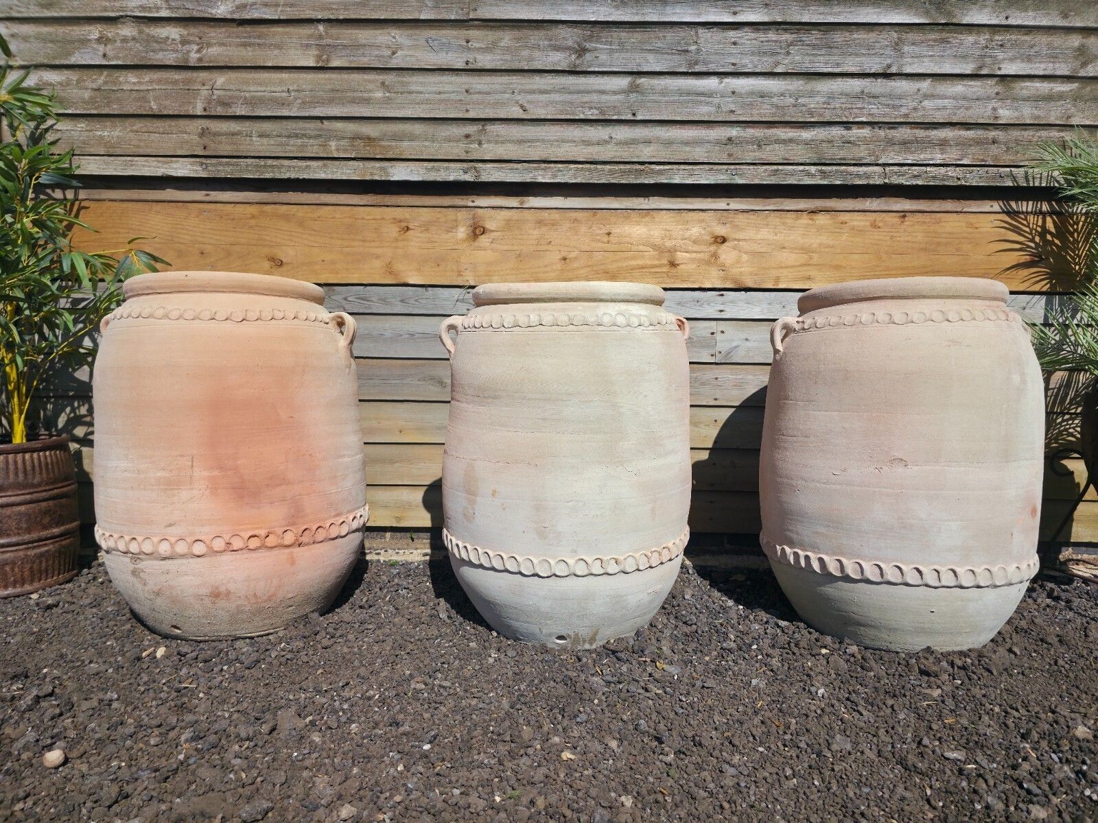 photo for sale Large Rustic Mediterranean Terracotta Olive Tree Garden Plant Pot Planter Urn