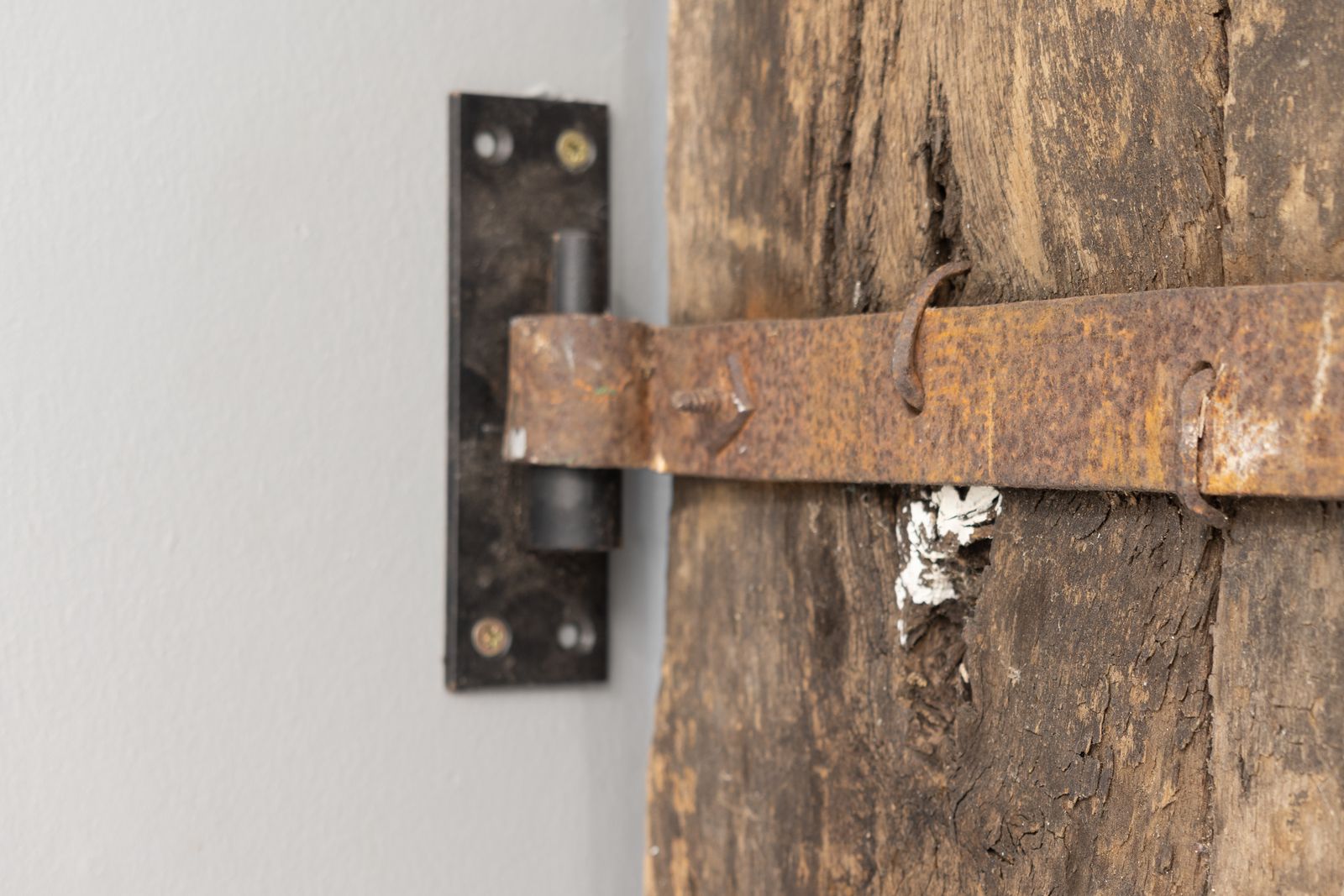Oak Door, 1800s, Antique photo buy