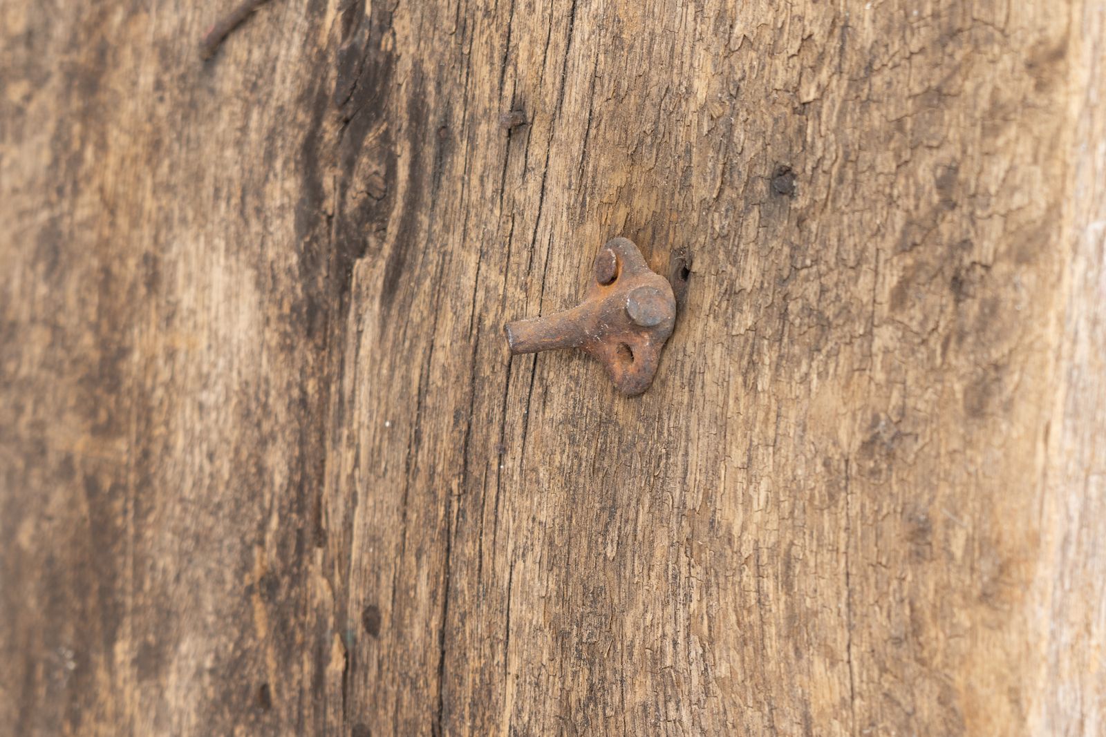photo furniture Oak Door, 1800s, Antique