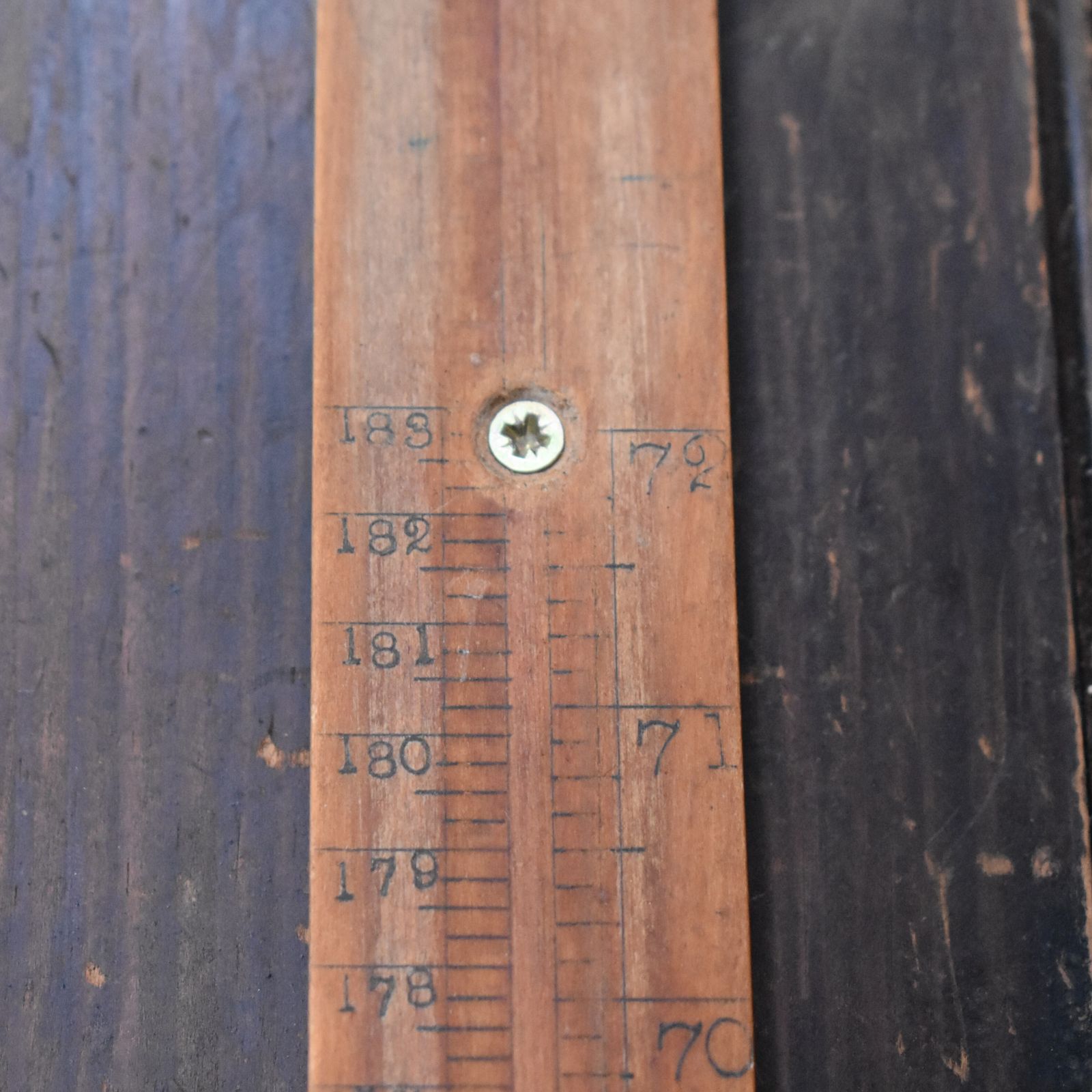 Antique 1900s Boxwood And Brass 6 Foot Doctors Nurse Measuring Height Stick photo 98.0