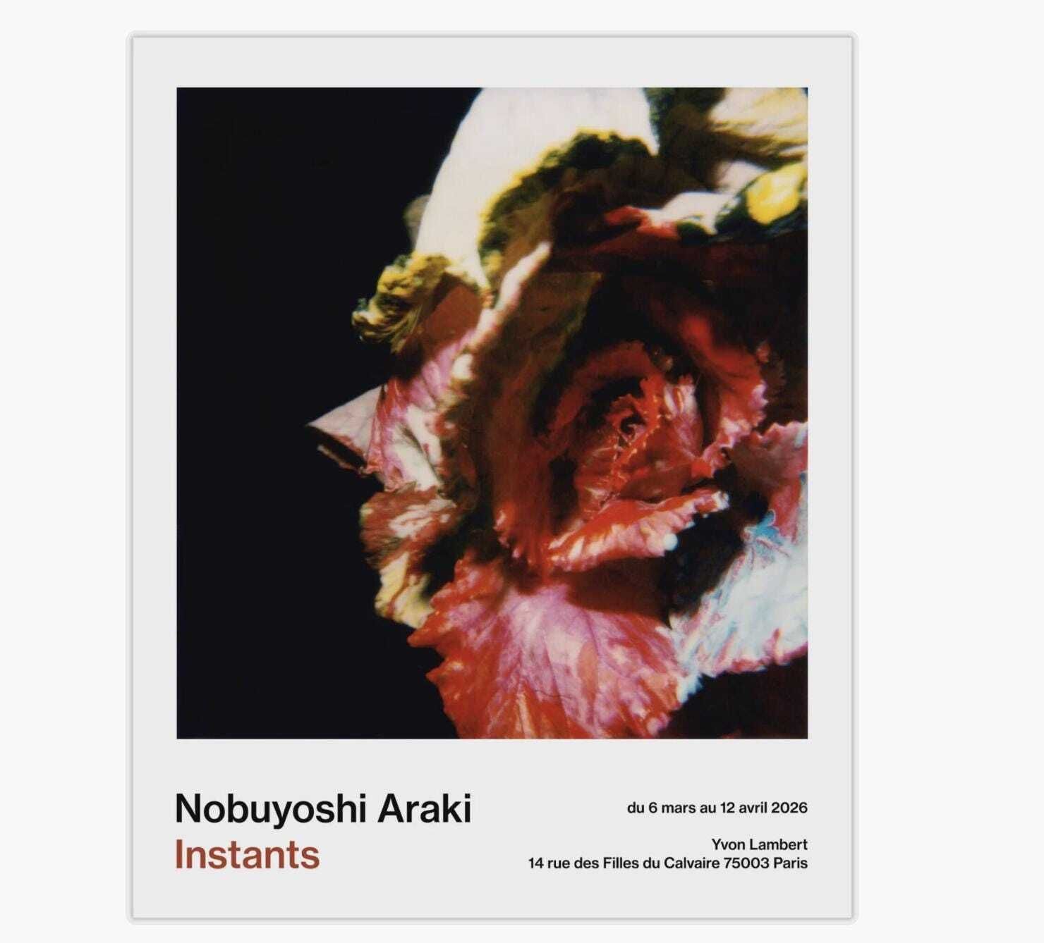Original Nobuyoshi Araki Exhibition Poster   Instants   Stunning Museum Print