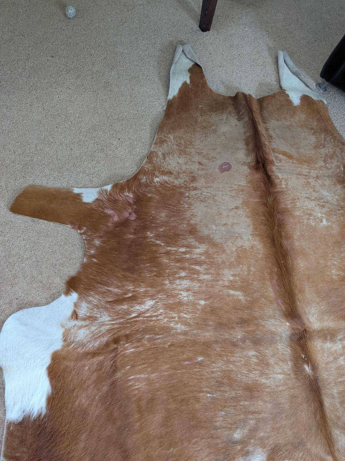 Vintage 1990s Texas Cowhide Rug   Genuine Large Brown/White Hide photo for sale