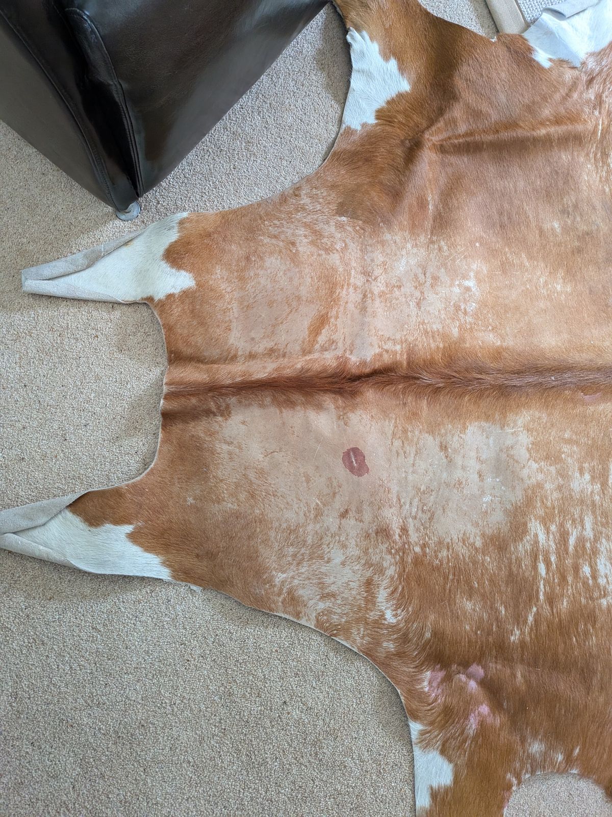 Vintage 1990s Texas Cowhide Rug   Genuine Large Brown/White Hide photo Textiles