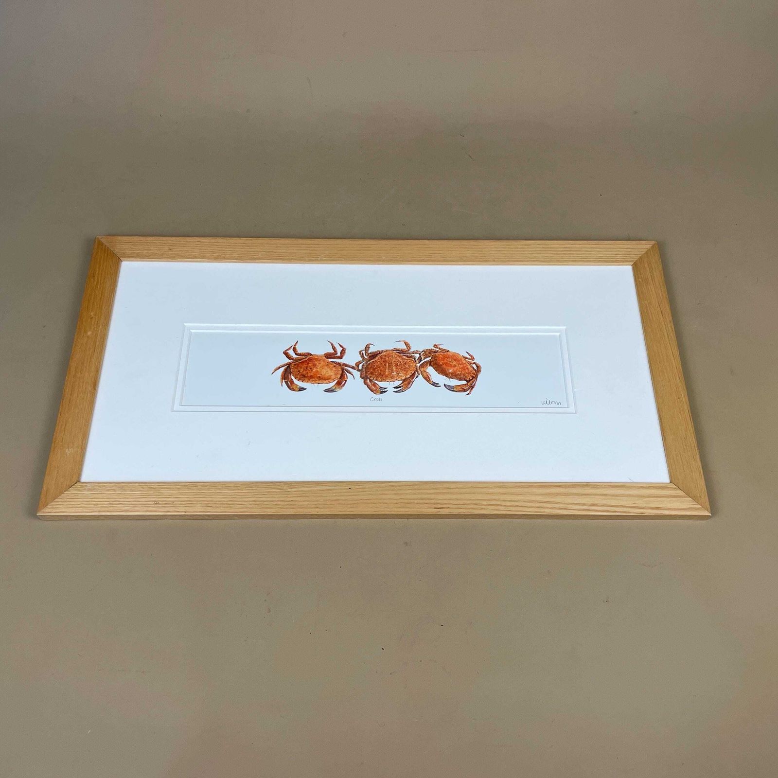 Crab Print Framed Wood Coastal Kitchen Wall Art Seafood Illustration Crustacean Picture Nautical Decor Display Animal Print