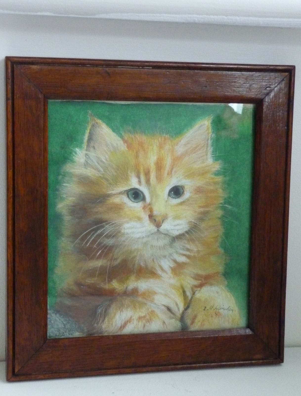 photo for sale Mixed Media Art In Walnut Frame Ginger Cat Portrait: Early 20th Century