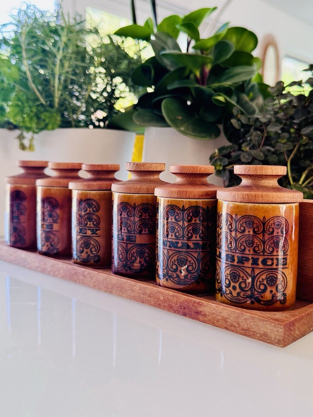 1960s Hornsea Pottery Scroll 6 Spice Jars With Turned Stoppers & Wooden Rack