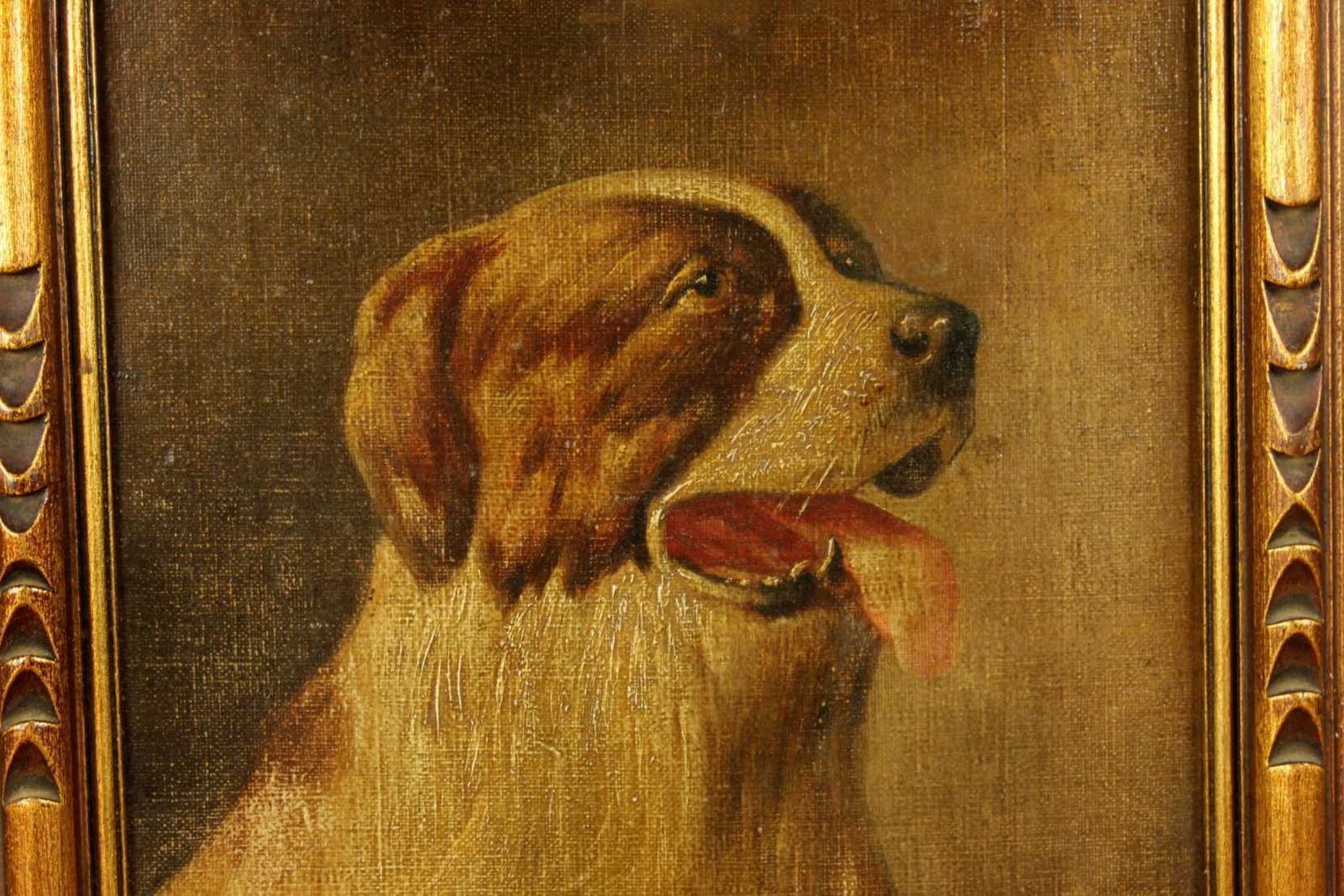 photo buy Antique St Bernard Oil Painting. Framed Lm Webb Signed Dog Portrait. 1929.