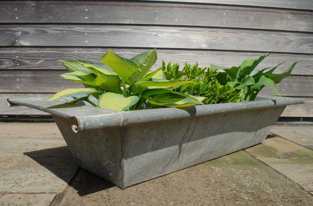 Reclaimed Galvanised Zinc Trough Planter