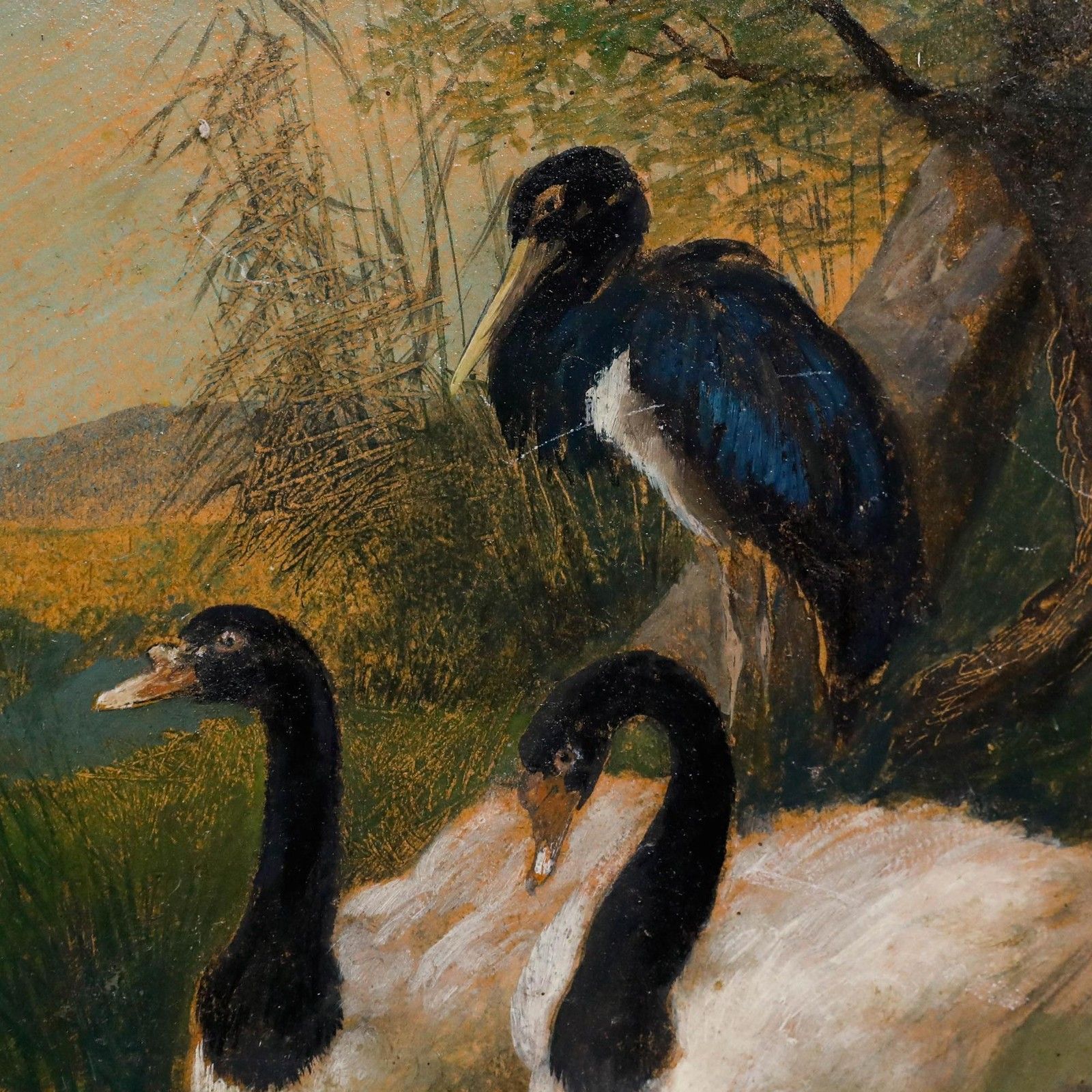 Julius Scheuerer (1859 1913) Framed Oil, Waterfowl By A Stream photo 650.0