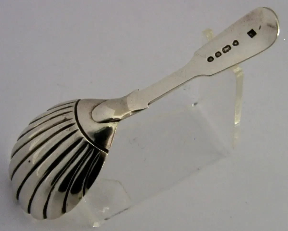 Cuillère à thé victorienne en argent massif sterling, bol en coquille Saint-Jacques, 1849 photo for sale