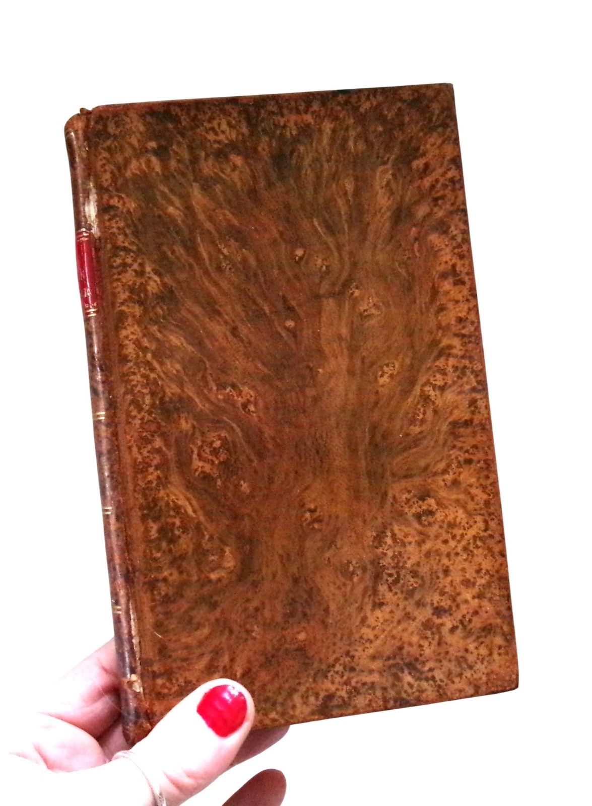1828 Horticulture Book: New American Gardener, Thomas Fessenden, Full Leather Georgian photo for sale