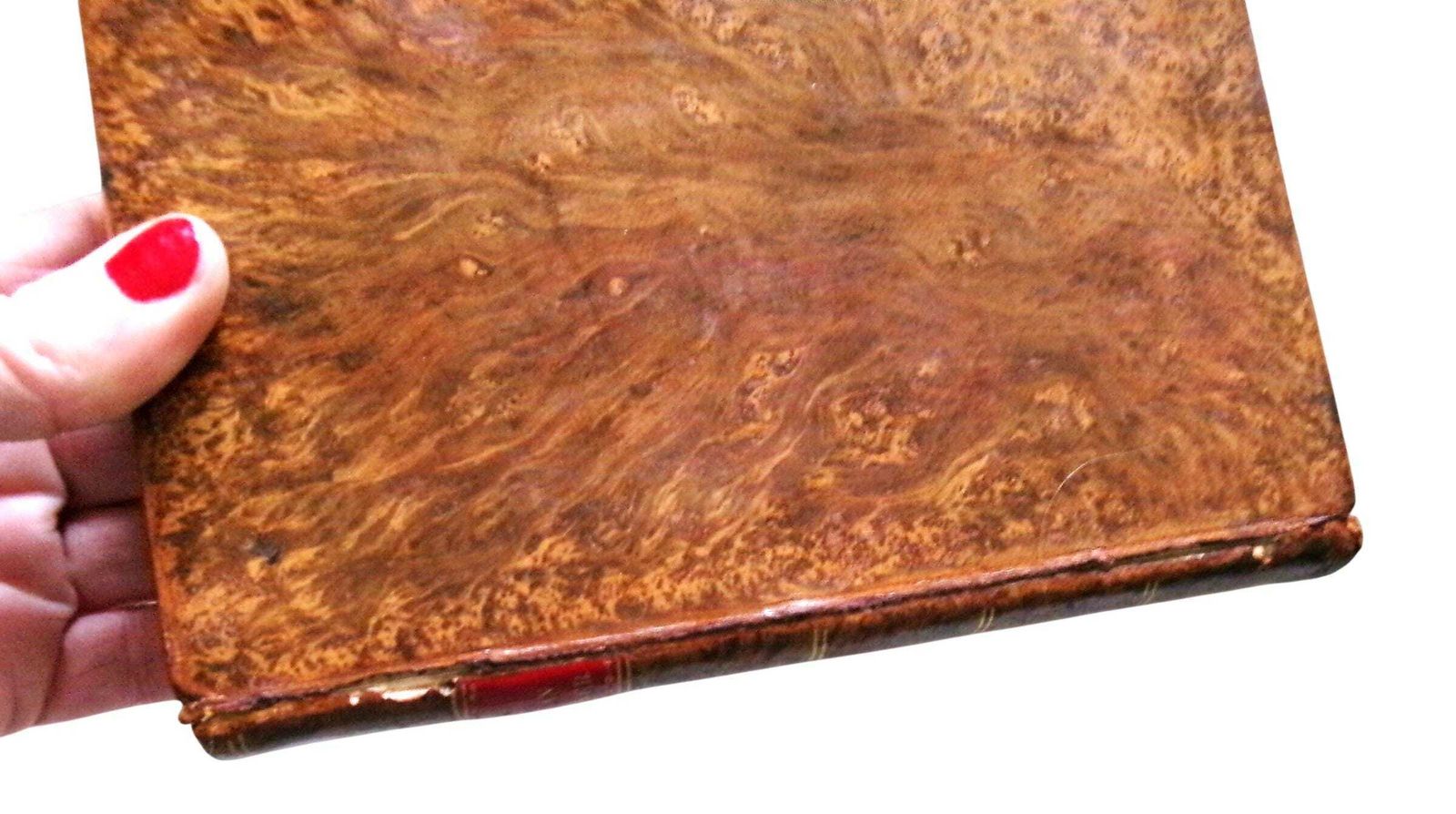 photo buy 1828 Horticulture Book: New American Gardener, Thomas Fessenden, Full Leather Georgian