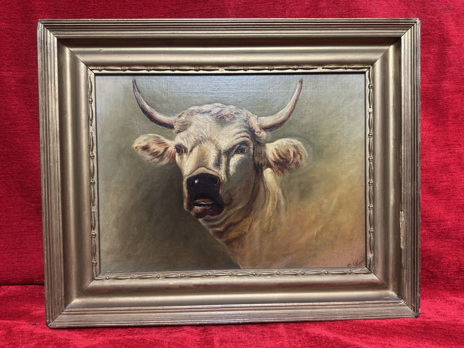 19th Century Prize White Hereford Bull Portrait Oil Painting Signed E Wood photo for sale