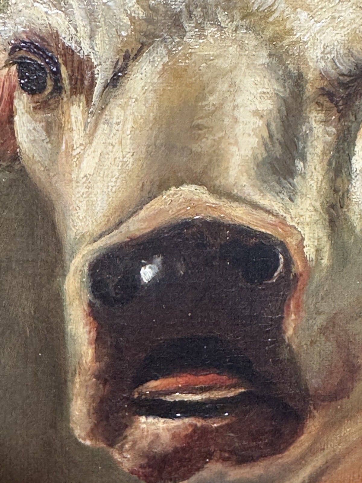 photo furniture 19th Century Prize White Hereford Bull Portrait Oil Painting Signed E Wood