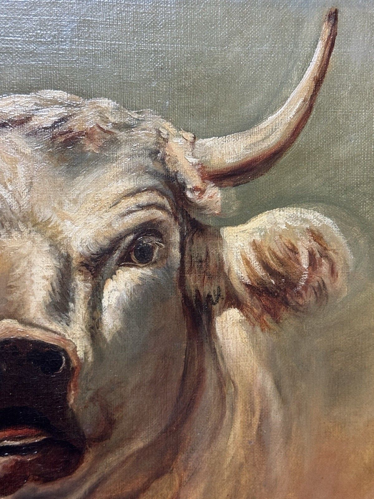 350.0 19th Century Prize White Hereford Bull Portrait Oil Painting Signed E Wood photo