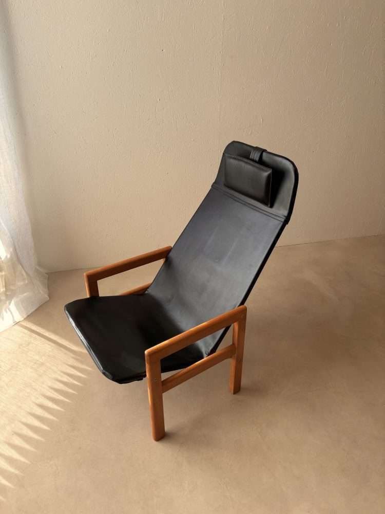 Sitinut Lounge Chair Göte Göperts 1963 photo buy