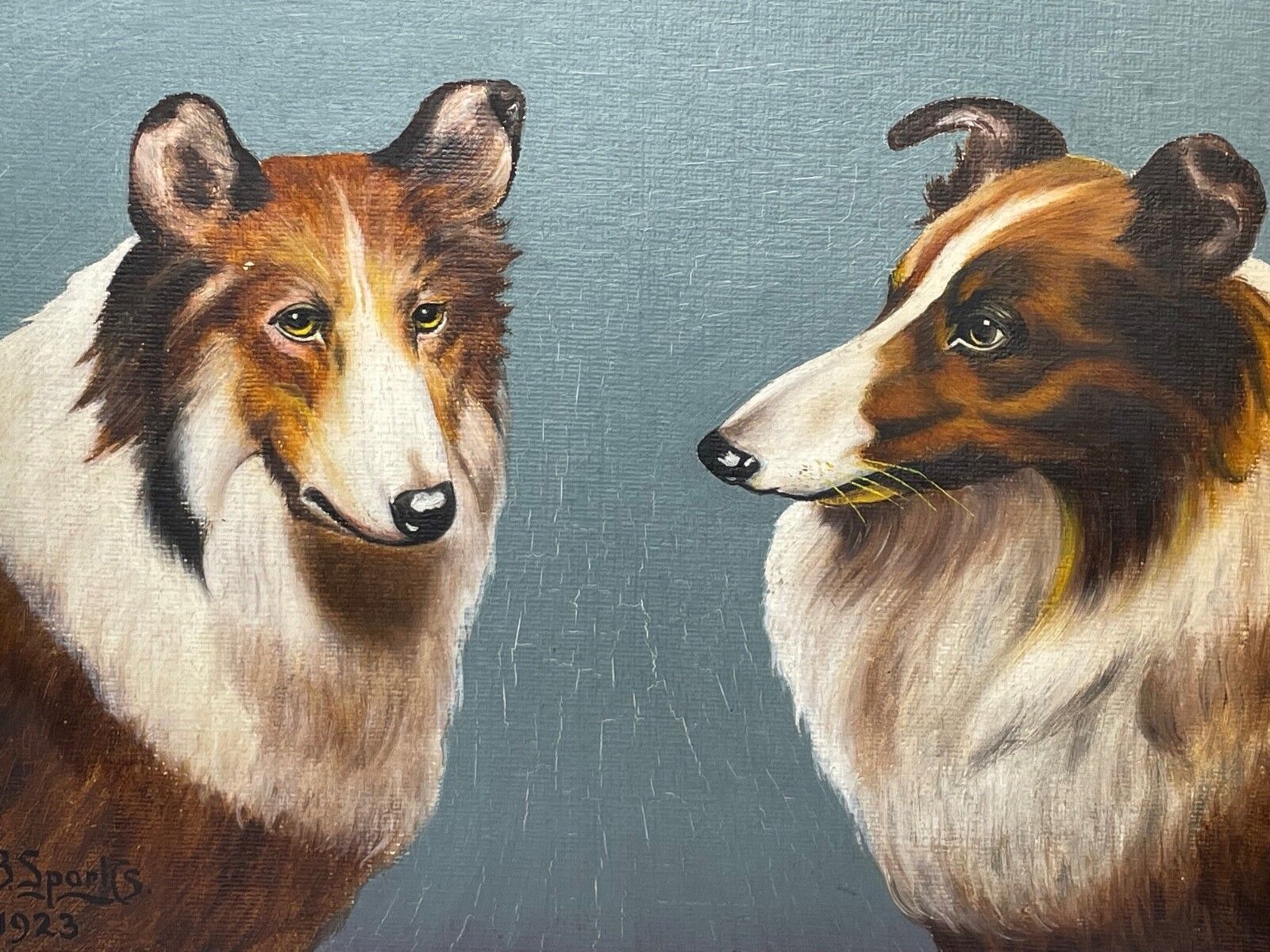Oil Painting Portrait Scottish Rough Collie Dogs Follower Benedict Angell Hyland photo for sale