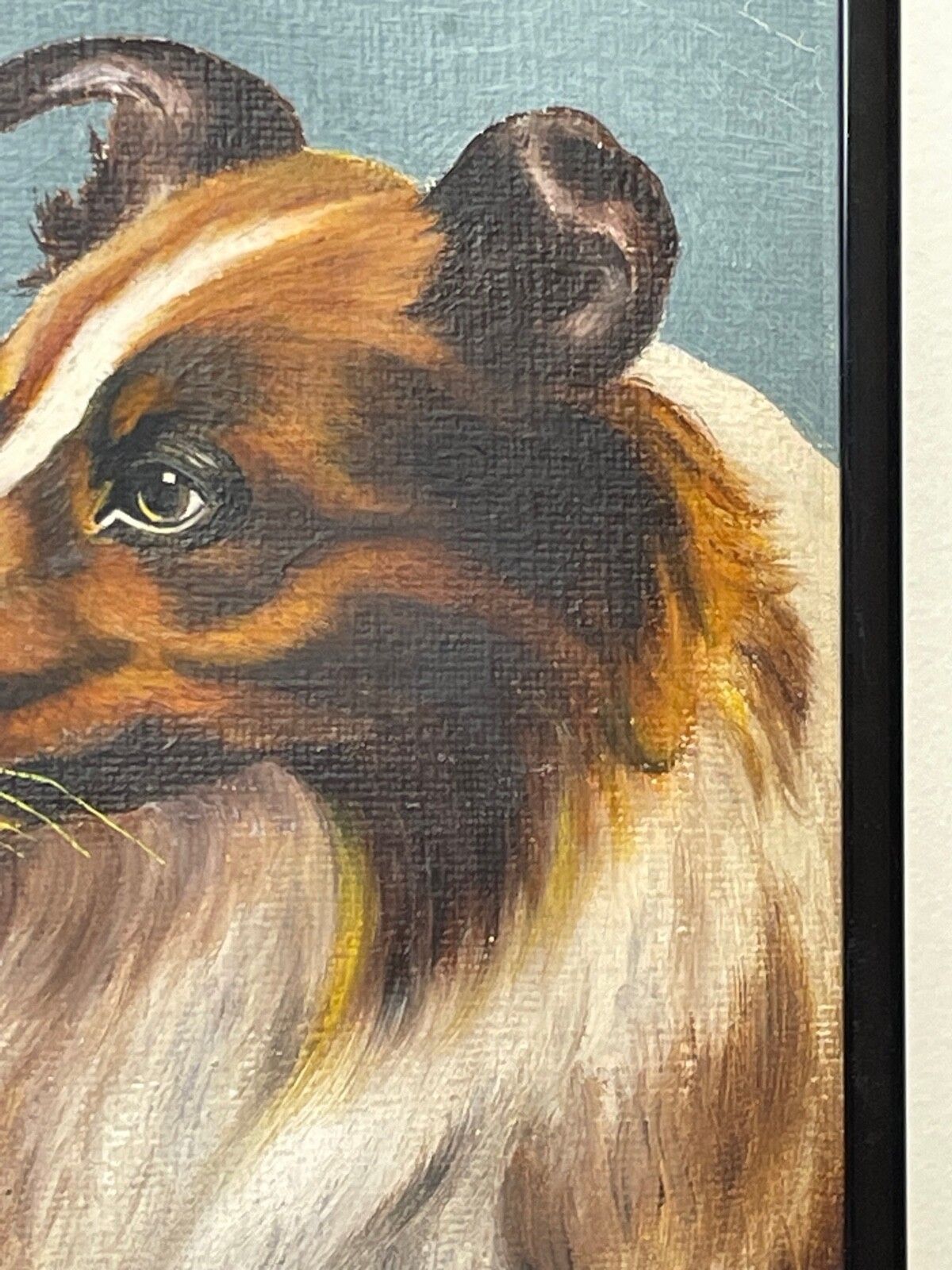 Oil Painting Portrait Scottish Rough Collie Dogs Follower Benedict Angell Hyland photo Art