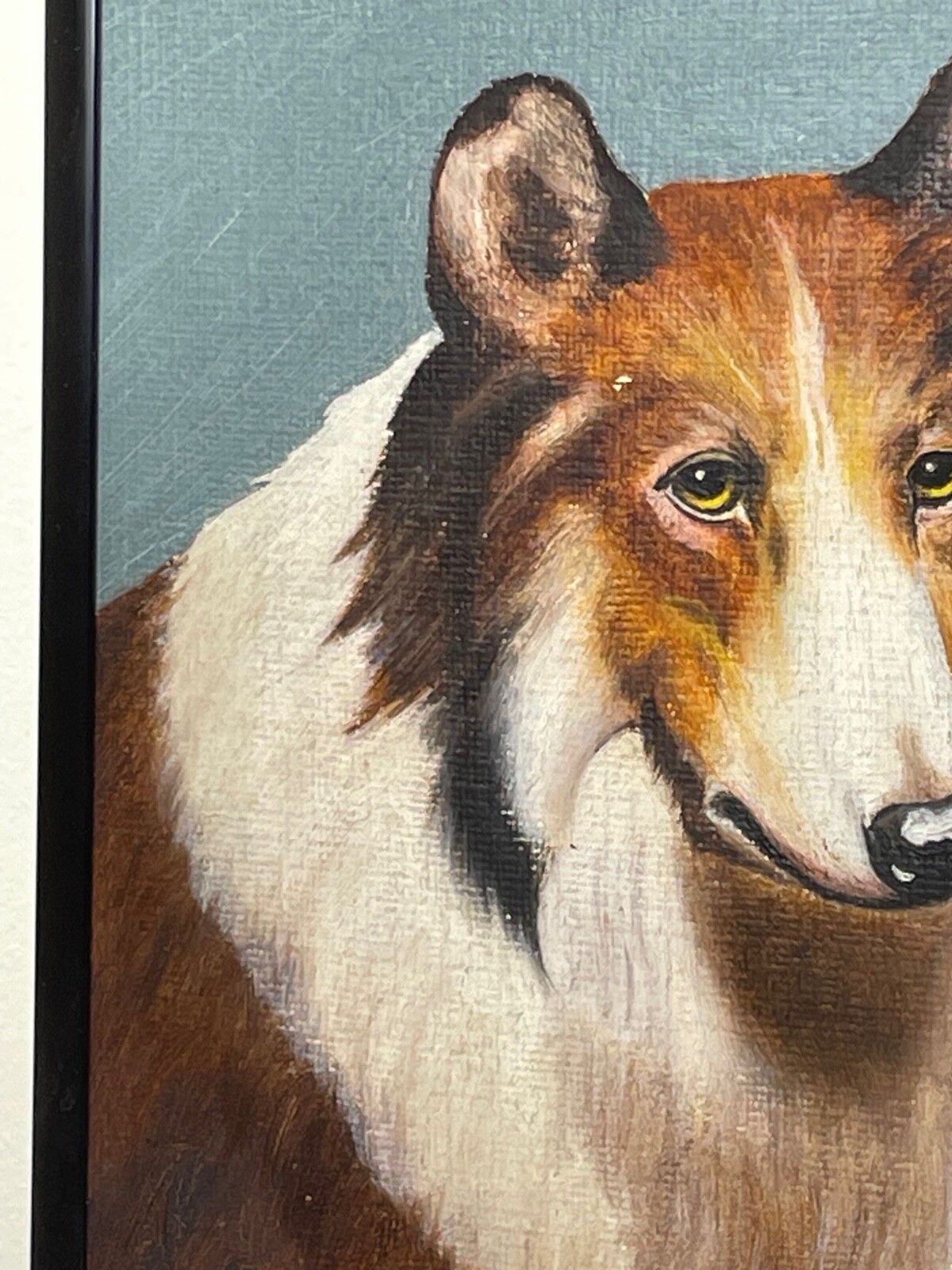 Oil Painting Portrait Scottish Rough Collie Dogs Follower Benedict Angell Hyland photo vinterior