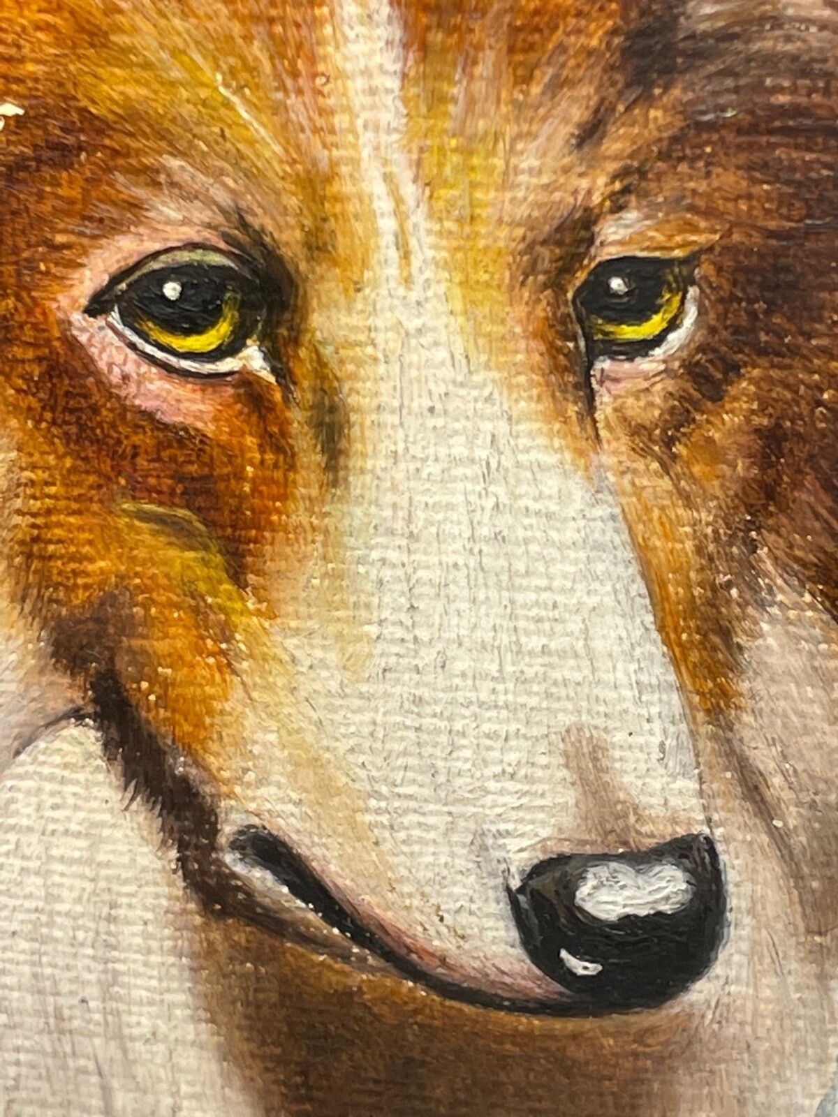 photo vinterior Oil Painting Portrait Scottish Rough Collie Dogs Follower Benedict Angell Hyland