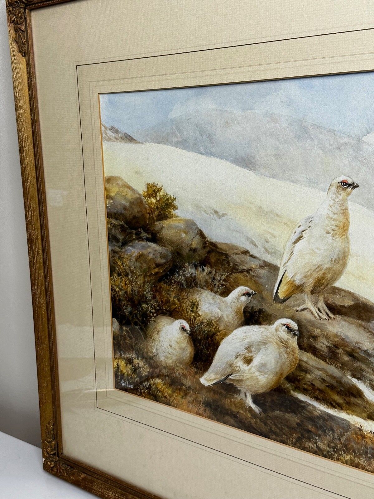 2400.0 British Painting Highland Moors Wildlife Covey Of Ptarmigan Game Birds On Alert photo