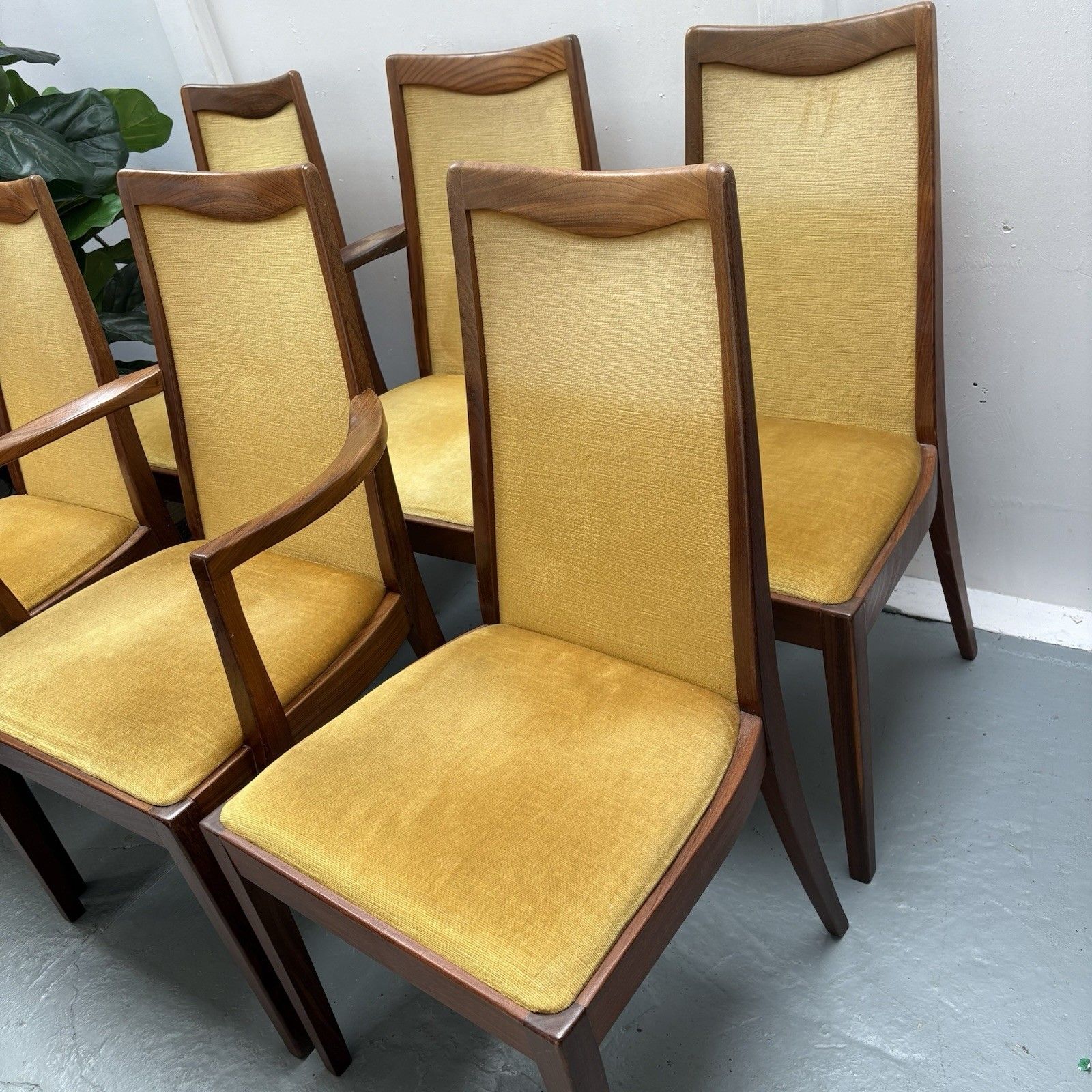 6 Mid Century Teak & Mustard Fabric G Plan Dining Chairs By Leslie Dandy 1960s photo for sale