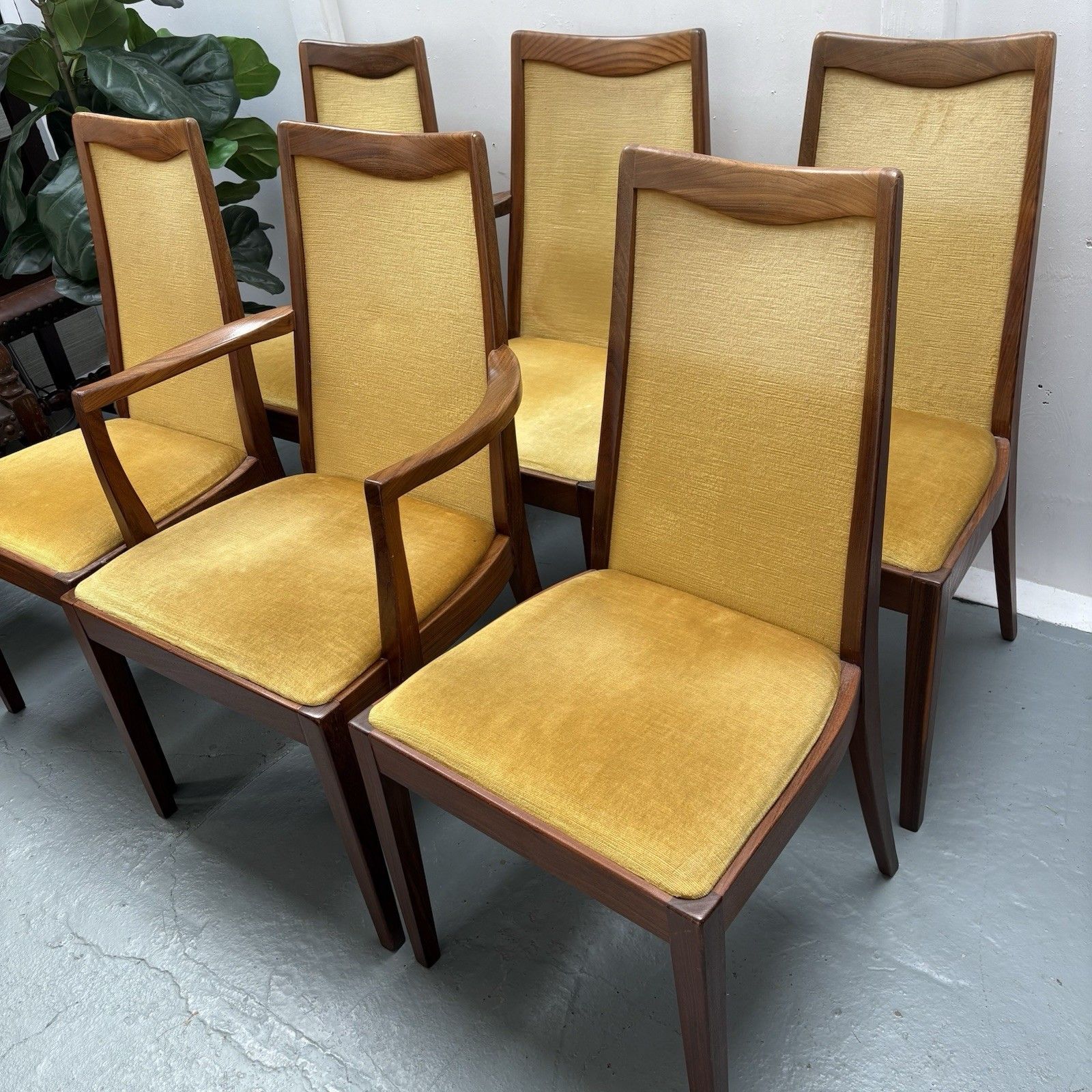 photo for sale 6 Mid Century Teak & Mustard Fabric G Plan Dining Chairs By Leslie Dandy 1960s
