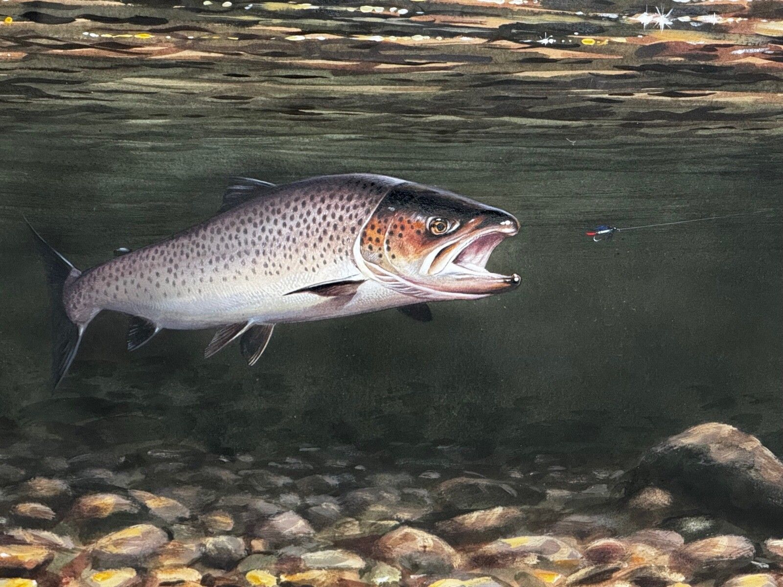 Sporting Painting Sea Trout Nearly Hooked The Silver Zulu Fly By Roger Mcphail photo furniture