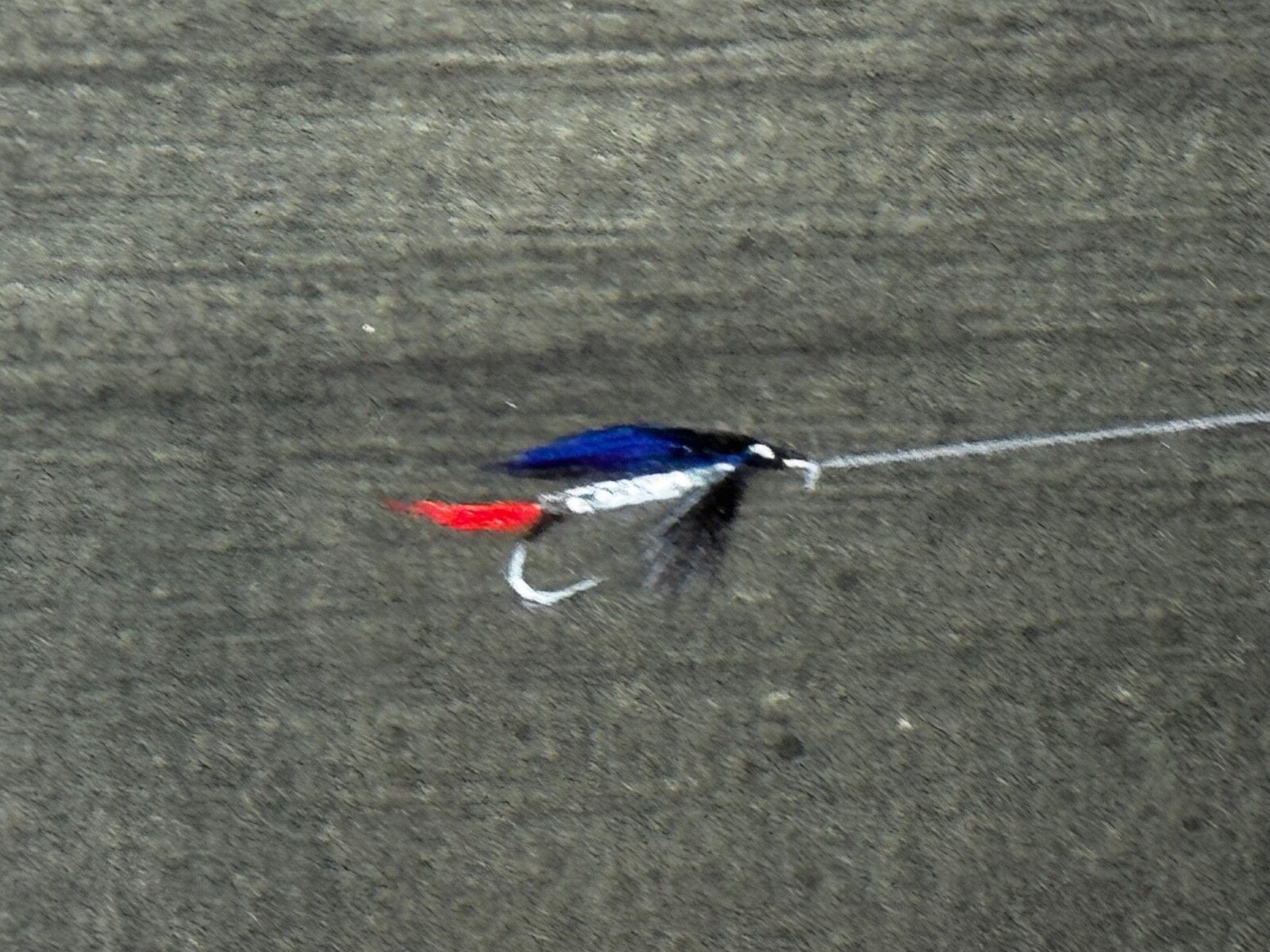 8000.0 Sporting Painting Sea Trout Nearly Hooked The Silver Zulu Fly By Roger Mcphail photo